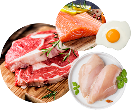 proteins