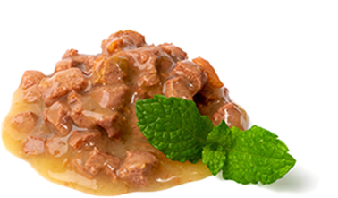 Wet Food Mint1