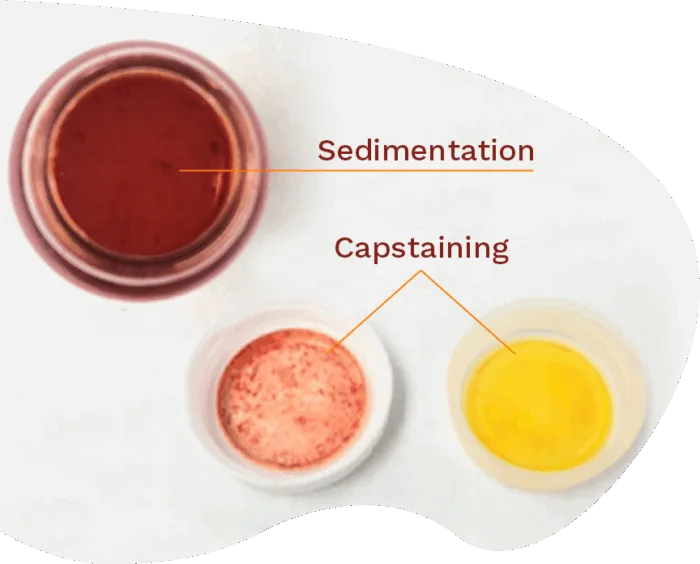 sedimentation vs capstaining