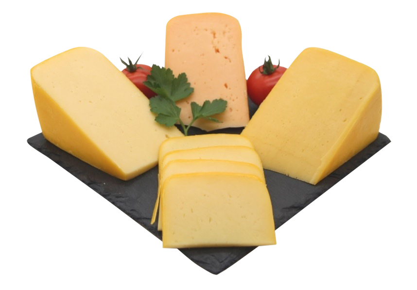 Say-Cheese-yellow