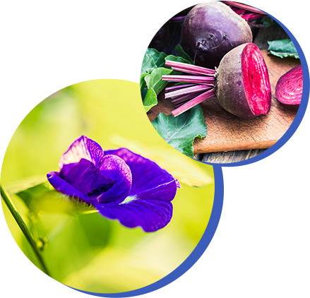 beet root and blue flower collage