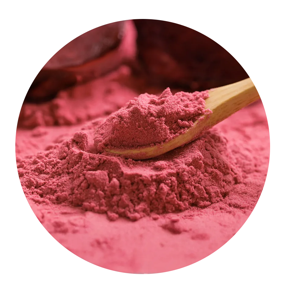 Stability and Performance Factors